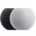Умная колонка HomePod mini, Space Gray