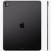 iPad Pro 13, M5, 256 ГБ, Wi-Fi+LTE, Стандартная матрица, Черный, ME7W4