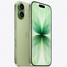 iPhone 17, 256 ГБ, eSIM, Sage (Шалфей)